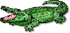 gator.gif (4626 bytes)